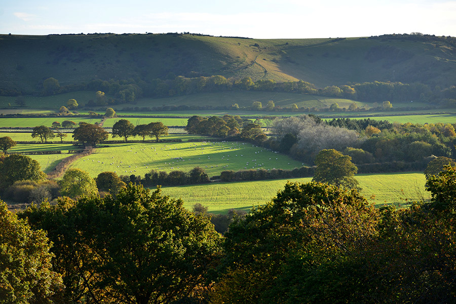 SOUTH-DOWNS-NATIONAL-PARK